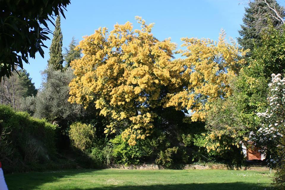 Rancho La Herradura Arenas de San Pedro Chambre photo